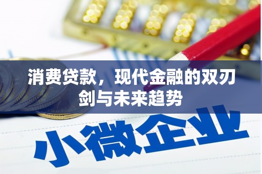 万峦消费贷款，现代金融的双刃剑与未来趋势