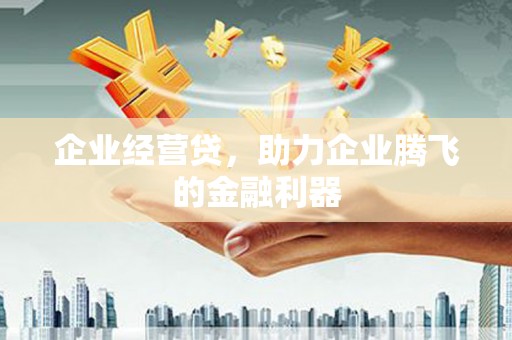万峦企业经营贷，助力企业腾飞的金融利器