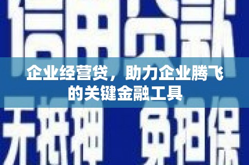 万峦企业经营贷，助力企业腾飞的关键金融工具