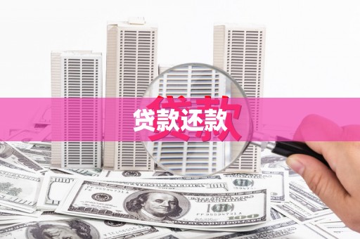 万峦贷款还款