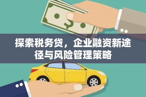 万峦探索税务贷，企业融资新途径与风险管理策略