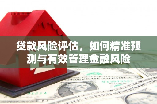 万峦贷款风险评估，如何精准预测与有效管理金融风险