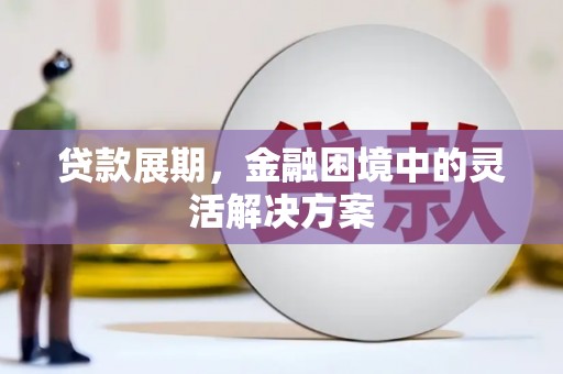 万峦贷款展期，金融困境中的灵活解决方案
