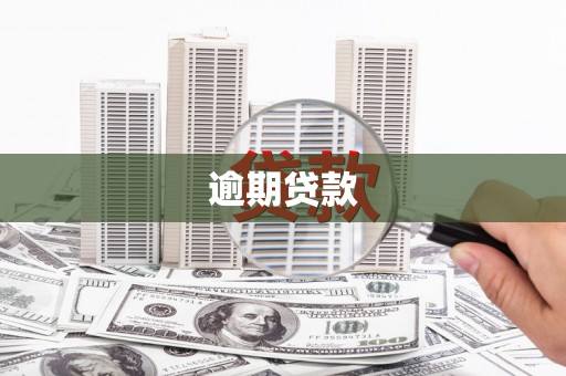 万峦逾期贷款