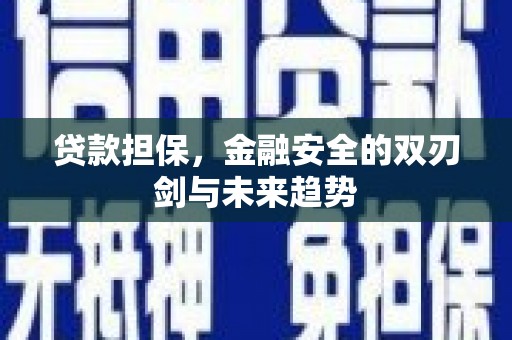 万峦贷款担保，金融安全的双刃剑与未来趋势