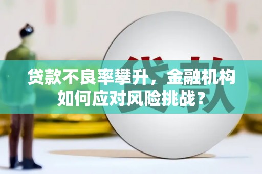 万峦贷款不良率攀升，金融机构如何应对风险挑战？
