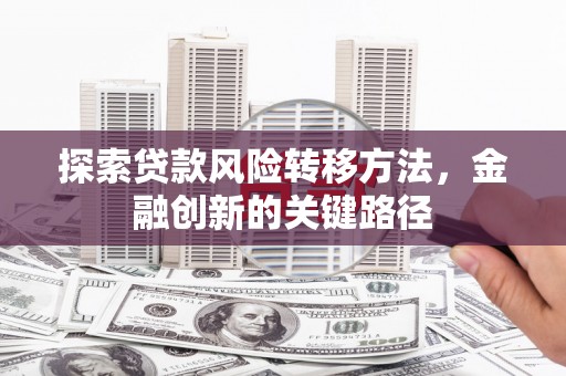万峦探索贷款风险转移方法，金融创新的关键路径