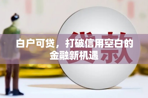 万峦白户可贷，打破信用空白的金融新机遇