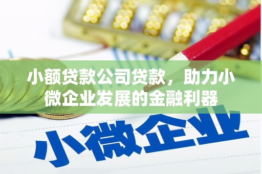 万峦小额贷款公司贷款，助力小微企业发展的金融利器