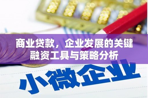 万峦商业贷款，企业发展的关键融资工具与策略分析