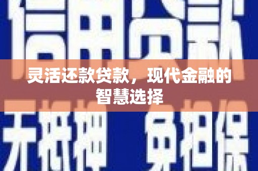 万峦灵活还款贷款，现代金融的智慧选择
