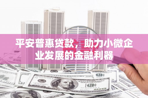 万峦平安普惠贷款，助力小微企业发展的金融利器