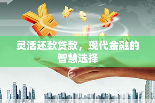 万峦灵活还款贷款，现代金融的智慧选择