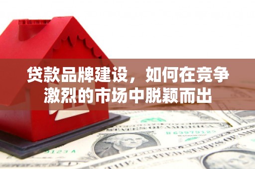 万峦贷款品牌建设，如何在竞争激烈的市场中脱颖而出