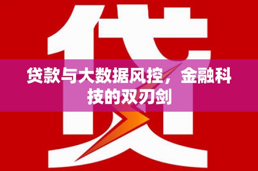 万峦贷款与大数据风控，金融科技的双刃剑
