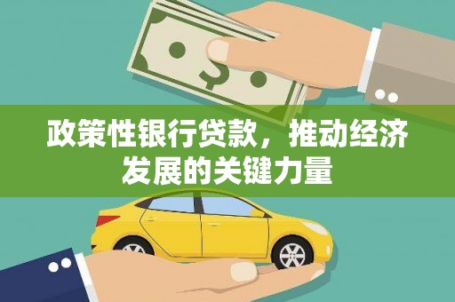 万峦政策性银行贷款，推动经济发展的关键力量