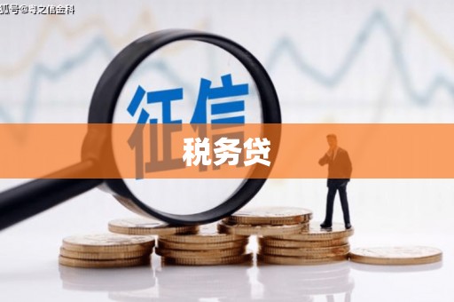 万峦税务贷