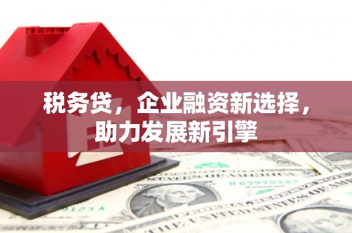 万峦税务贷，企业融资新选择，助力发展新引擎