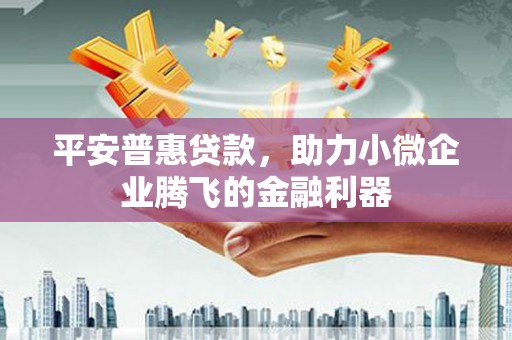 万峦平安普惠贷款，助力小微企业腾飞的金融利器