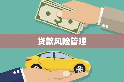 万峦贷款风险管理
