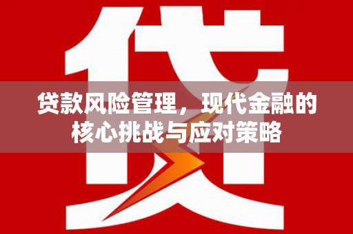 万峦贷款风险管理，现代金融的核心挑战与应对策略