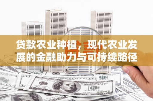 万峦贷款农业种植，现代农业发展的金融助力与可持续路径
