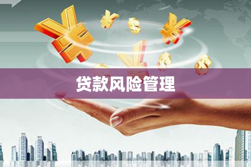 万峦贷款风险管理