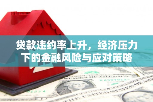 万峦贷款违约率上升，经济压力下的金融风险与应对策略