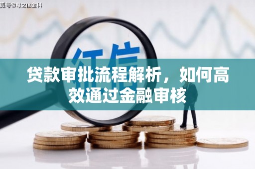 万峦贷款审批流程解析，如何高效通过金融审核