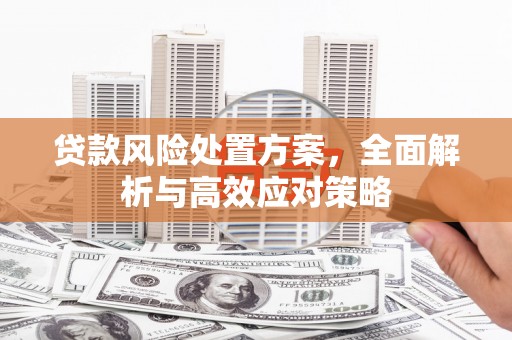 万峦贷款风险处置方案，全面解析与高效应对策略