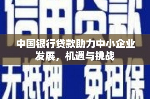 万峦中国银行贷款助力中小企业发展，机遇与挑战