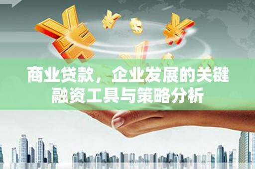 万峦商业贷款，企业发展的关键融资工具与策略分析