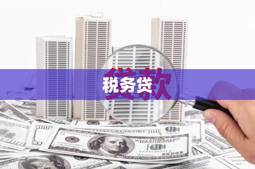 万峦税务贷