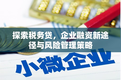 万峦探索税务贷，企业融资新途径与风险管理策略