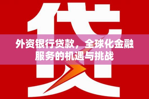 万峦外资银行贷款，全球化金融服务的机遇与挑战
