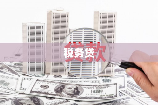 万峦税务贷