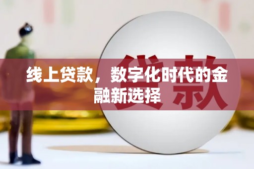 万峦线上贷款，数字化时代的金融新选择