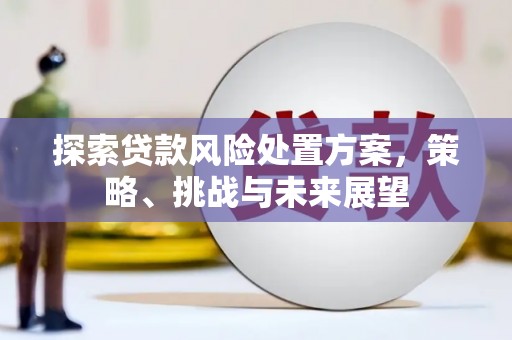 万峦探索贷款风险处置方案，策略、挑战与未来展望