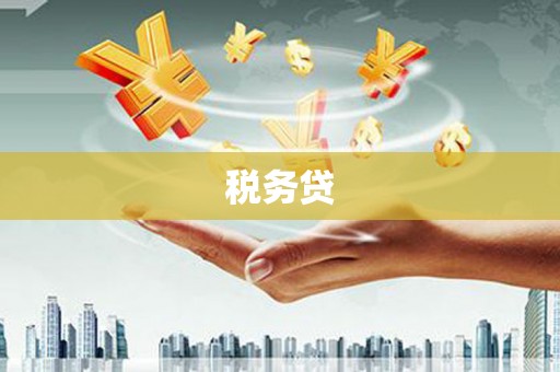 万峦税务贷