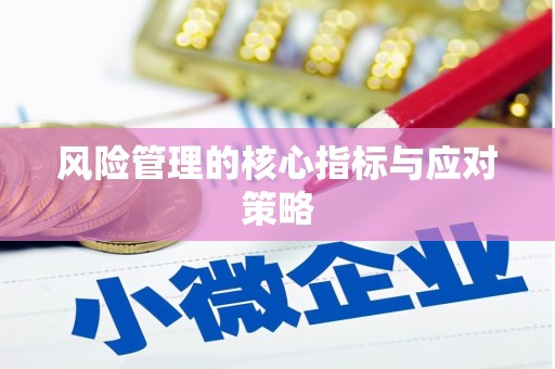 万峦风险管理的核心指标与应对策略
