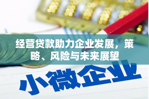 万峦经营贷款助力企业发展，策略、风险与未来展望