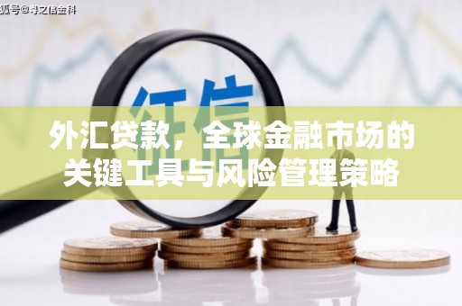 万峦外汇贷款，全球金融市场的关键工具与风险管理策略