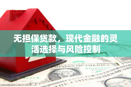 万峦无担保贷款，现代金融的灵活选择与风险控制