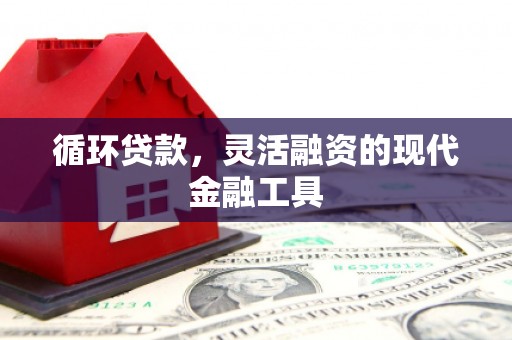 万峦循环贷款，灵活融资的现代金融工具