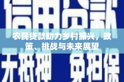 万峦农民贷款助力乡村振兴，政策、挑战与未来展望