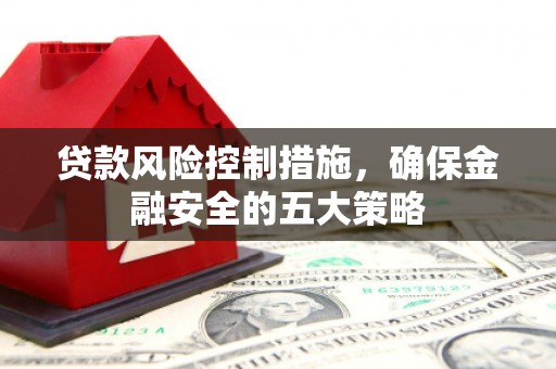 万峦贷款风险控制措施，确保金融安全的五大策略