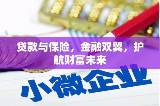 万峦贷款与保险，金融双翼，护航财富未来