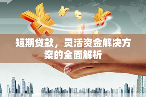万峦短期贷款，灵活资金解决方案的全面解析