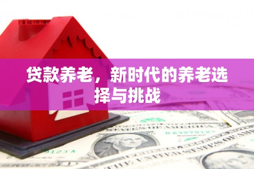 万峦贷款养老，新时代的养老选择与挑战