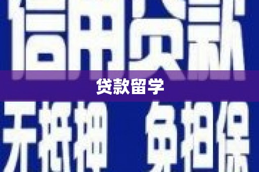 万峦贷款留学